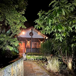 In The Woods, Maleny